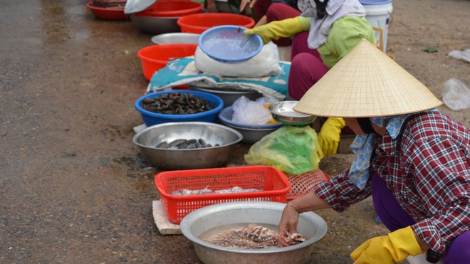 Hàng cá ở chợ Đồng Hới (Quảng Bình) hiu hắt sau công bố của Bộ Y tế. Ảnh: Hoàng Nam.