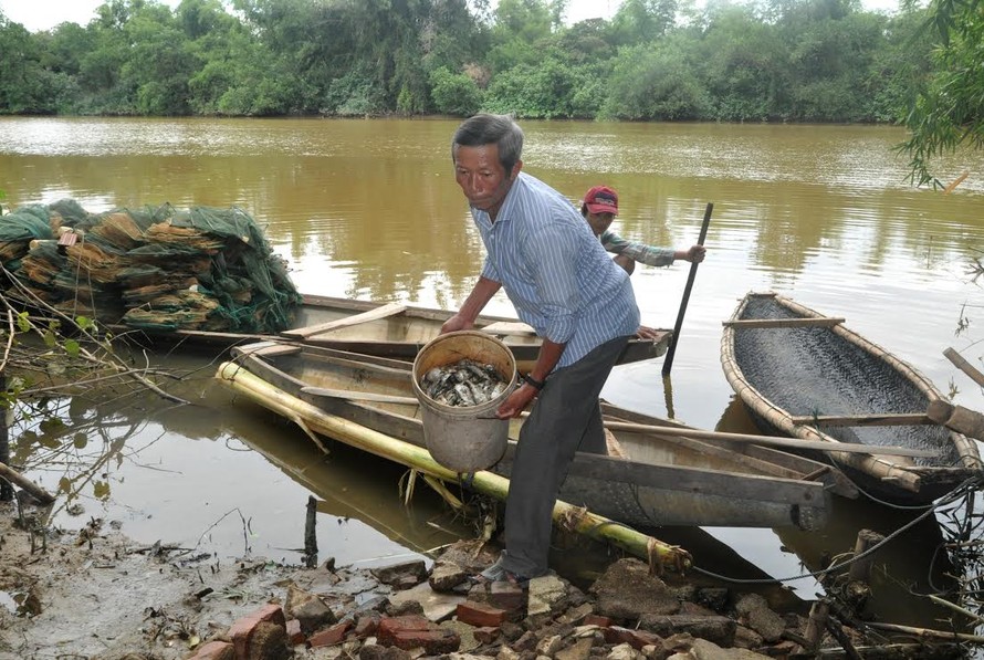 Người dân thu gom cá chết trên sông Sa Lung. Ảnh: Dân Việt