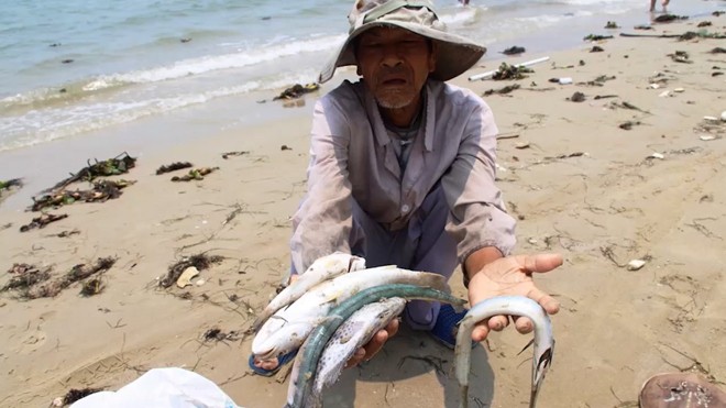 Vụ cá chết Formosa kéo tụt GDP 2016