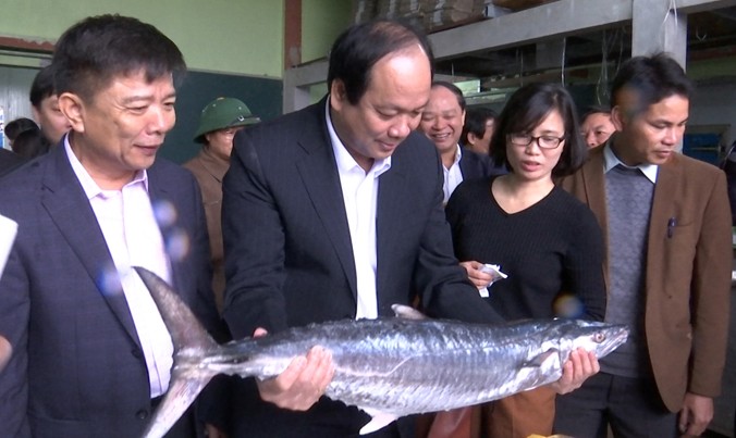 Bộ trưởng, Chủ nhiệm Văn phòng Chính phủ Mai Tiến Dũng kiểm tra cá tại kho đông lạnh.