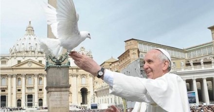 Giáo hoàng cầu hòa bình cho thế giới bạo lực, kim tiền