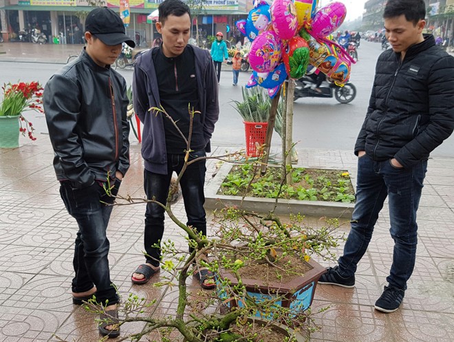 Sinh viên Phan Văn Tú (ngoài cùng bên phải) đang giới thiệu hoa cho khách. Ảnh: NVCC. 