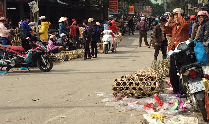 Lo ngại cúm, tình hình buôn bán, tiêu thụ gà, vịt sống kém sôi động trên thị trường Lạng Sơn. Ảnh: Duy Chiến.