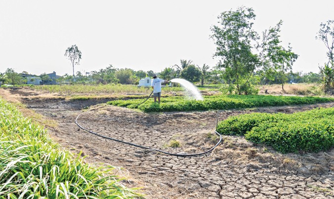 Gia tăng tình trạng nước ngầm được khai thác để phục vụ sản xuất tại các vùng nông thôn ĐBSCL.