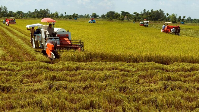 Tổng Giám đốc WIPO khuyên Việt Nam nên đổi mới sáng tạo trong sản xuất nông nghiệp. Ảnh: Hồng Vĩnh.