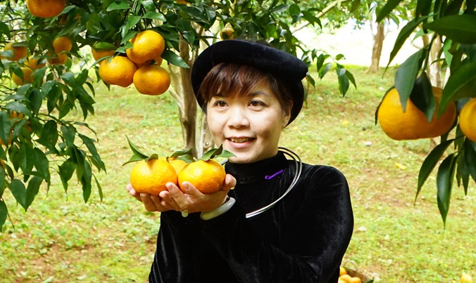 Tiến sỹ Triệu Thị Kiều Dung bên những trái cam, đặc sản quê hương.