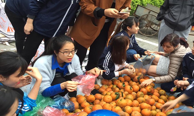 Tình nguyện viên trẻ bán cam trong chương trình giải cứu cam cho người dân huyện Quang Bình, Hà Giang. Ảnh: NVCC.