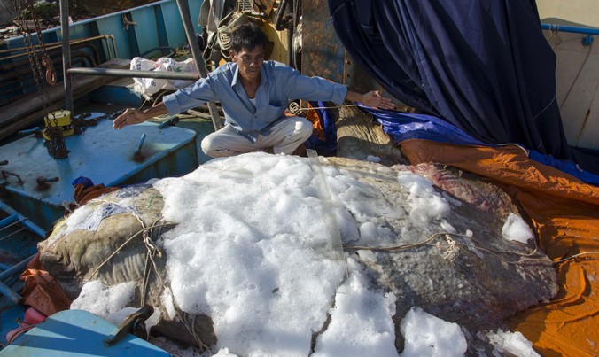 Anh Nguyễn Thanh Phong bên con cá lạ nặng hơn nửa tấn.