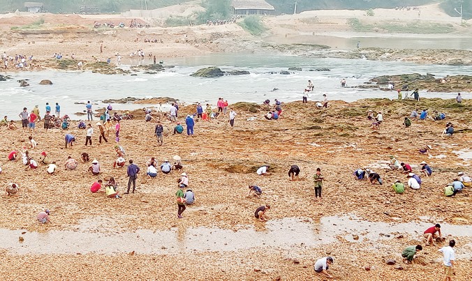 Hàng trăm người dân bỏ việc ra bờ sông Chảy, thuộc địa phận xã Đồng Khê (Đoan Hùng, Phú Thọ) đãi cát tìm đá quý. Ảnh: Trần Anh.