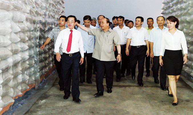 Thủ tướng Nguyễn Xuân Phúc thăm nhà máy chế biến hạt giống lúa của Tổng công ty Giống cây trồng Thái Bình.