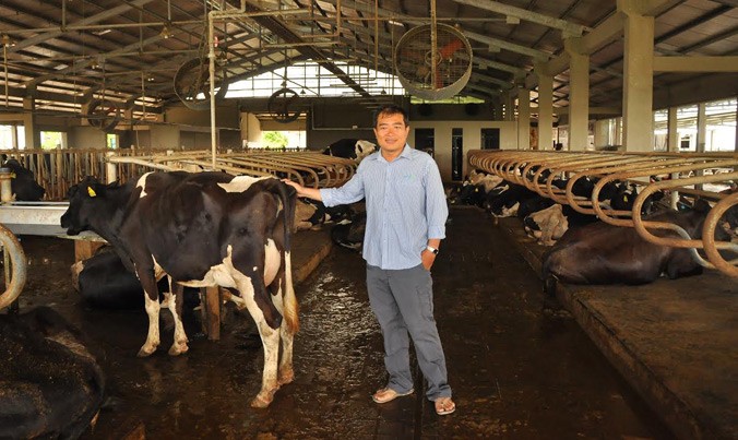 Anh Diệp Kỉnh Tân đứng cạnh đàn bò sữa của mình. Ảnh: Hòa Hội.