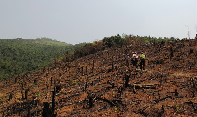 Nhiều khu rừng tự nhiên ở Bắc Giang bị người dân đốt tan hoang.