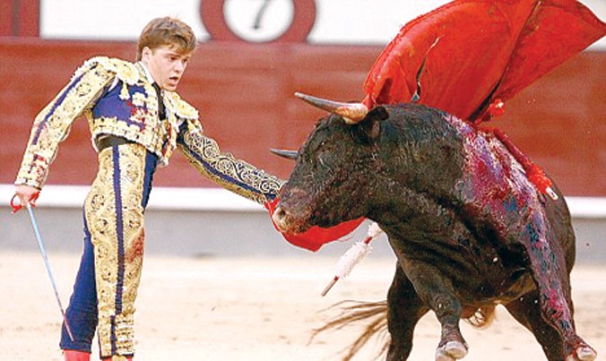 Một cảnh đấu bò tót ở Tây Ban Nha. Ảnh: AP.