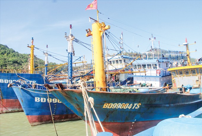 Hàng loạt tàu cá của ngư dân Bình Định bị hư hỏng đang chờ sửa chữa. Ảnh: Hoài Văn.