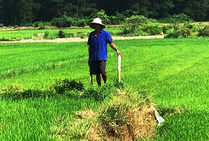 Khu đất trồng lúa còn lại ít ỏi tại Bồn Trì (phường Hương An) dự kiến xây điểm giết mổ gia súc, gia cầm tập trung hiện vấp phải phản đối quyết liệt của dân.