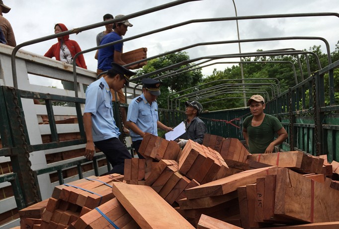 Lực lượng Hải quan kiểm tra mặt hàng gỗ nhập khẩu tại cửa khẩu đường bộ. Ảnh: Tuấn Nguyễn.