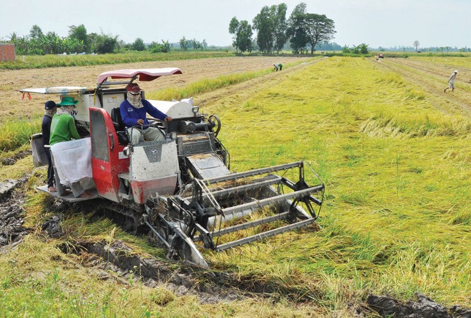 Do thu nhập thấp, nông dân trồng lúa vẫn là thành phần nghèo khó nhất. Ảnh: Hòa Hội.