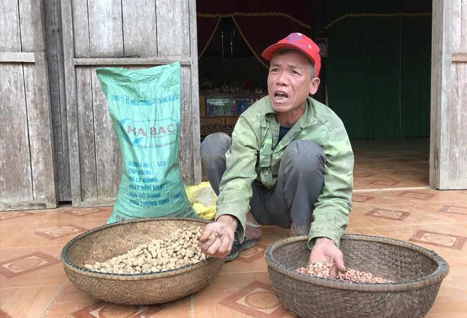 Nông dân nghèo huyện Minh Hóa điêu đứng vì “sân sau” của ông Niên cấp giống lạc thối, lép... không thể gieo trồng.