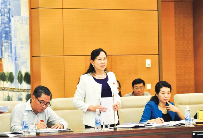 Phó Chủ nhiệm Ủy ban Kiểm tra Trung ương Lê Thị Thủy cho rằng không nên đưa cơ quan Đảng, Ủy ban kiểm tra vào luật.