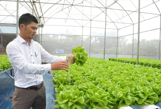 Anh Phan Nguyên Bic chia sẻ kinh nghiệm trồng rau thủy canh. Ảnh: N.T.