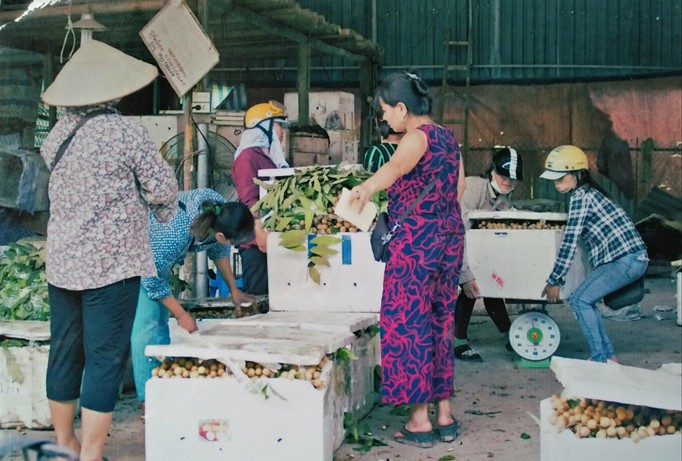Buôn bán tấp nập tại chợ hoa quả xã Dương Liễu.