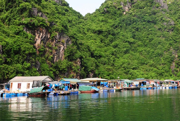 Cách nào phục sinh “hồn cốt” di sản vịnh Hạ Long?