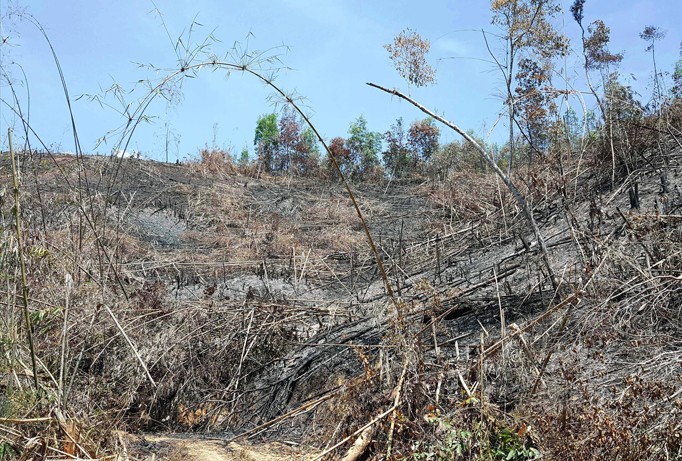 Đắk Nông: Diễn tập phòng thủ để mất hơn 135 ha rừng tự nhiên?!