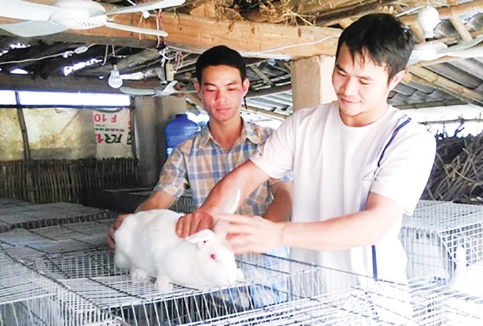 Những năm qua Thái Nguyên xuất hiện nhiều ĐVTN vượt khó vươn lên làm giàu thành công. Trong ảnh: Anh Quảng (bên trái) đang trao đổi kinh nghiệm nuôi thỏ với thành viên trong HTX Thanh niên Tân Linh. Ảnh: Hoàng Tú.