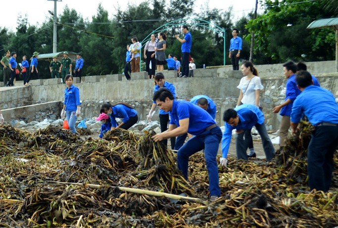 Tuổi trẻ Thái Bình với màu áo xanh tình nguyện ra quân dọn dẹp rác ven biển. Ảnh: T.Bình.