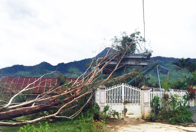 Cây đổ sập mái nhà dân ở xã Yang Mao huyện Krông Bông tỉnh Đắk Lắk.