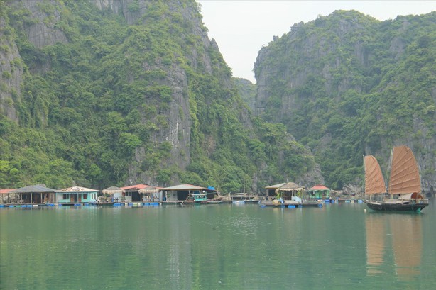 Làng chài Vung Viêng, một trong những làng chài cổ lâu đời trên vịnh Hạ Long.