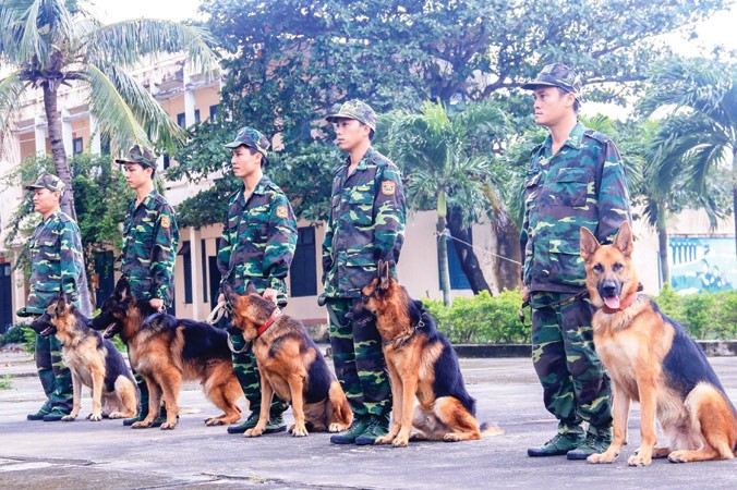 Các chiến sỹ BÐBP Ðà Nẵng bên cạnh những chú chó nghiệp vụ của mình. Ảnh: Nguyễn Thành.