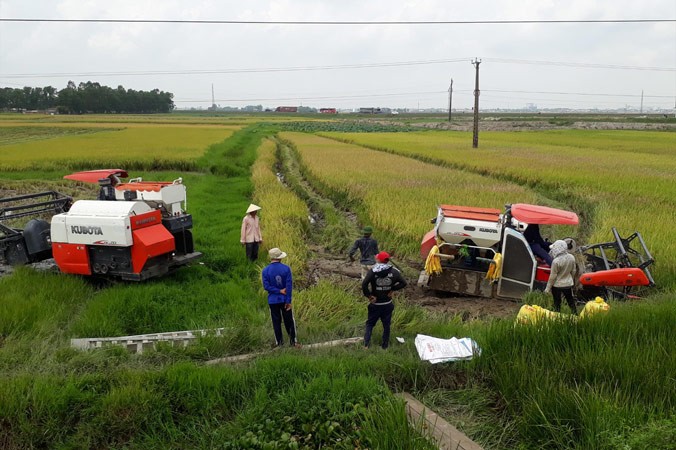 Máy gặt hoạt động tại cánh đồng ở xã Hoằng Vinh, huyện Hoằng Hóa (Thanh Hóa). Ảnh: Hoàng Lam.