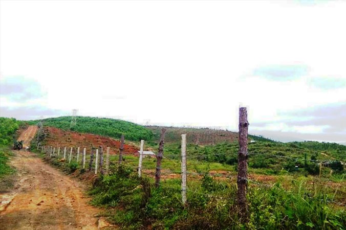 Nhiều diện tích thuộc BQLRPHÐN Krông Năng bị rao bán bừa bãi.