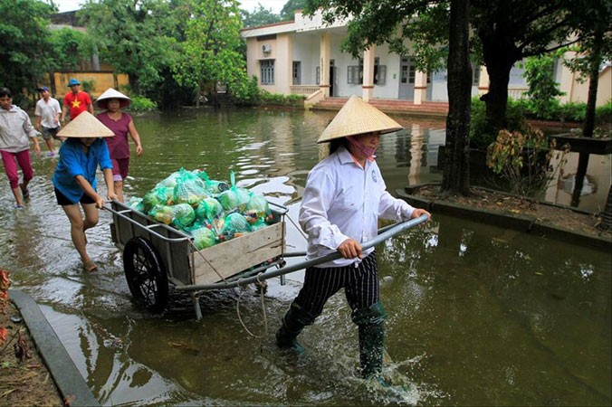 Ngập lụt ở xã Nam Phương Tiến, Chương Mỹ, Hà Nội (ảnh chụp ngày 30/7/2018). Ảnh: Trường Phong.