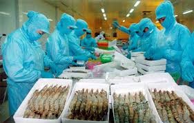 EU cảnh báo ngừng nhập thủy sản Việt Nam