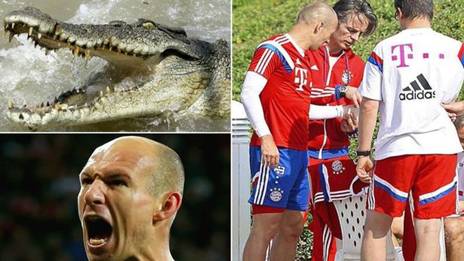 Robben suýt mất bàn tay vì bị cá sấu cắn