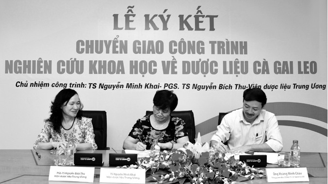 Lễ ký kết chuyển giao công trình nghiên cứu về Cà gai leo. TS Nguyễn Thị Minh Khai (giữa), PGS.TS Nguyễn Thị Bích Thu (trái)
