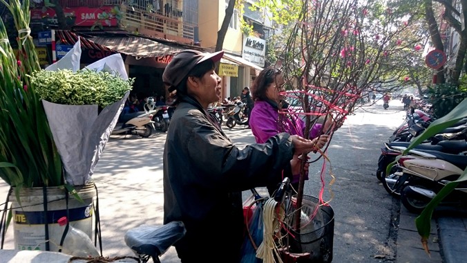 Đào được rao bán trên phố cổ Hà Nội (ảnh chụp sáng 29/1 trên phố Hàng nón). Ảnh: Ngọc Châu