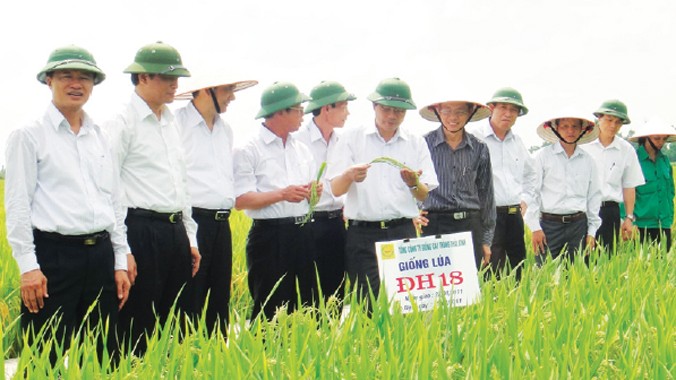 Bộ trưởng NN&PTNT Cao Đức Phát thăm cánh đồng sản xuất lúa giống của Tổng Cty Giống cây trồng Thái Bình