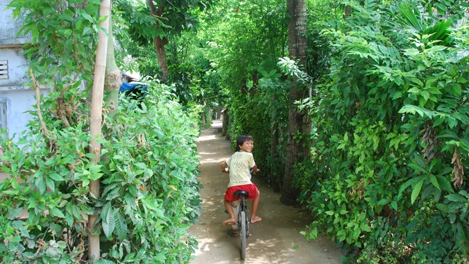 Bờ rào ở Lý Sơn. Ảnh: Xuân Ba