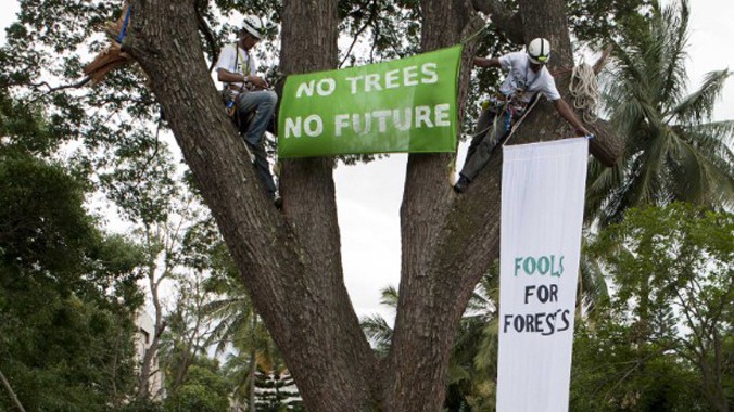 Giăng băng-rôn phản đối chặt cây ở thành phố Bangalore của Ấn Độ. Ảnh: Esgindia