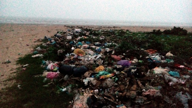 Bãi biển - bãi rác