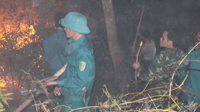 Các lực lượng đang nỗ lực cứu 40 ha rừng trồng ở TP Lạng Sơn bị cháy