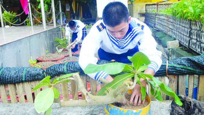 Chiến sĩ đảo An Bang chăm bẵm cành bàng vuông mới chiết, chậu và đất đều được đem từ đất liền ra. Ảnh: Lê Hữu Việt