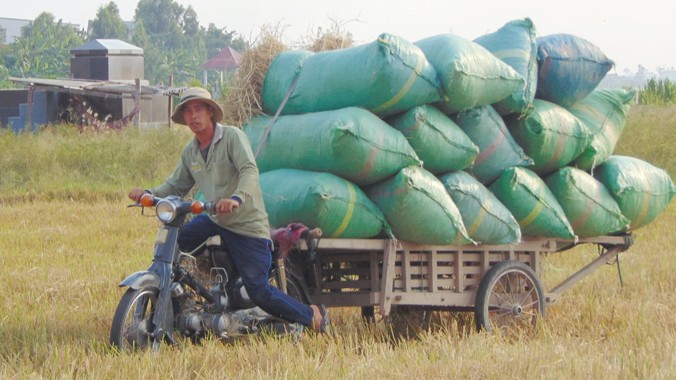 Nông dân tỉnh Đồng Tháp dùng xe máy kéo nông sản 