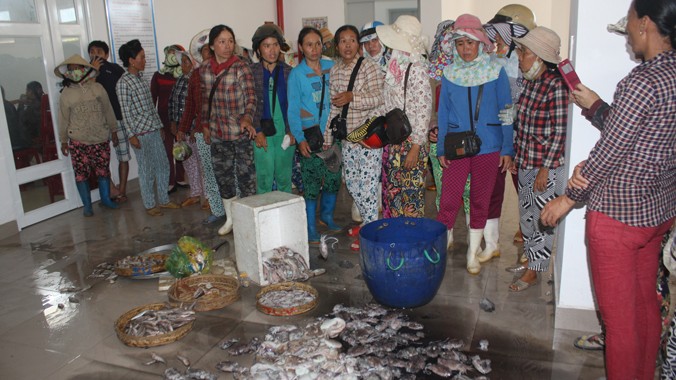 Tiểu thương chợ Tam Kỳ đổ cá trước cửa phòng BQL chợ vào ngày 29/6