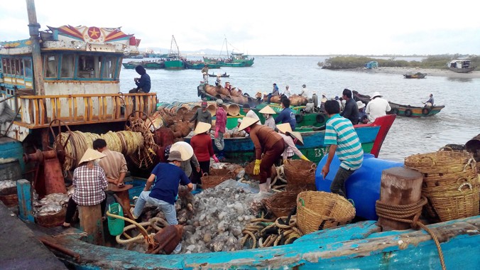 Ngư dân lên cá ở cảng Phước Tỉnh. Ảnh: Việt Văn