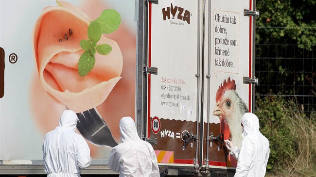 71 thi thể người nhập cư được phát hiện trong chiếc xe tải chở thịt đông lạnh. Ảnh: Guardian