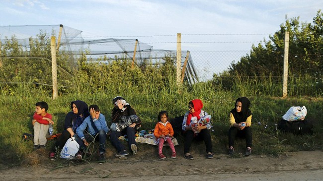 Một nhóm người di cư ngồi ở biên giới Serbia - Croatia. Ảnh: Daily Mail